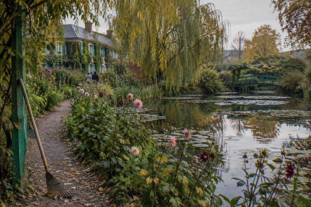 Autumn color along the water garden path with late-season flowers and turning leaves