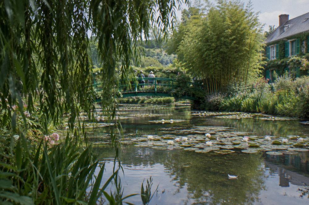 A green arched bridge over a pond dotted with water lilies