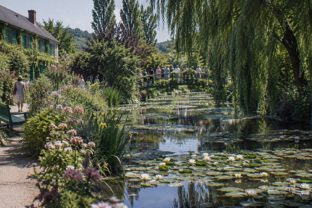 White water lilies flowering on the pond beside the green Japanese bridge at Giverny