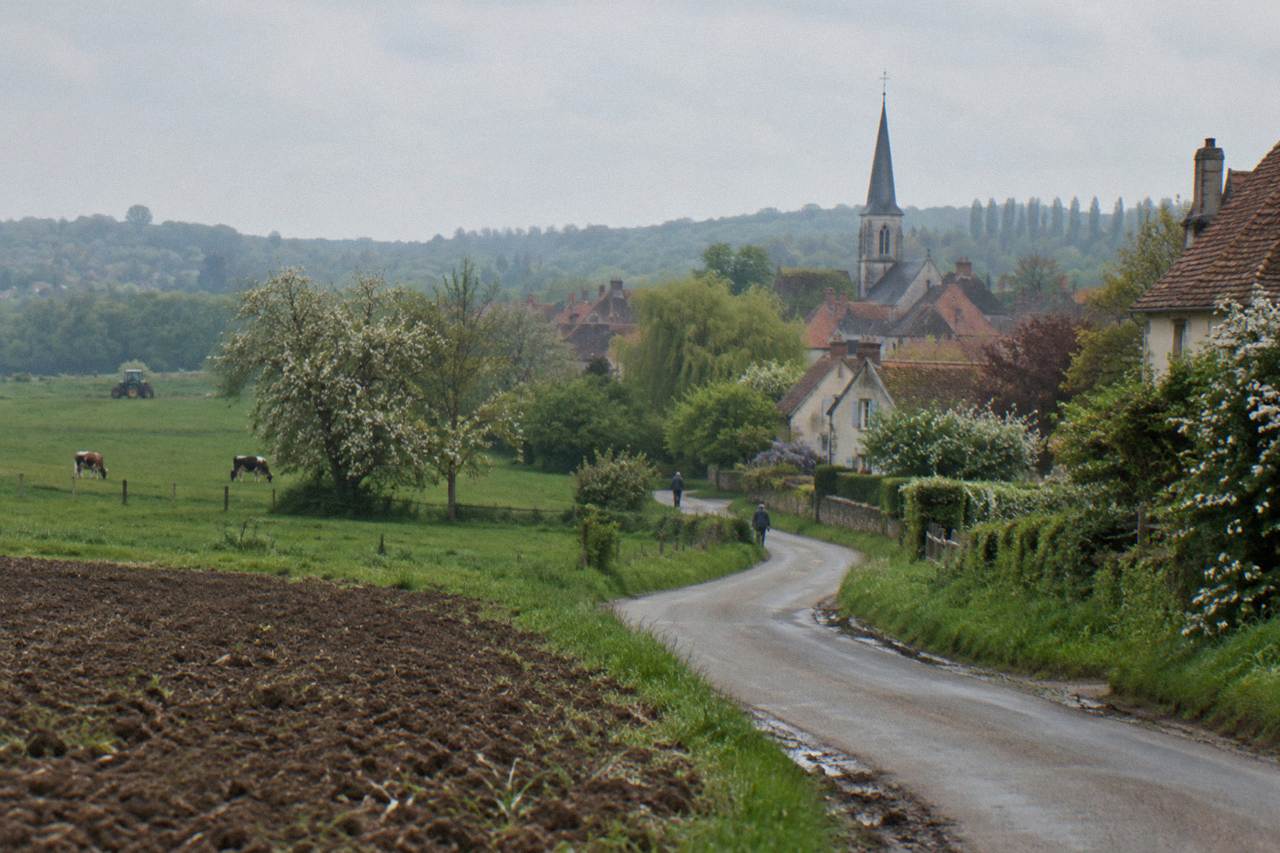 Country road winding through green Normandy farmland toward the village of Giverny