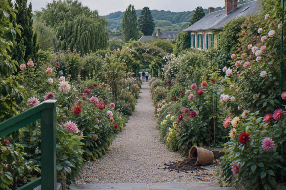 The flower-packed central alley of the Clos Normand garden seen from the house terrace
