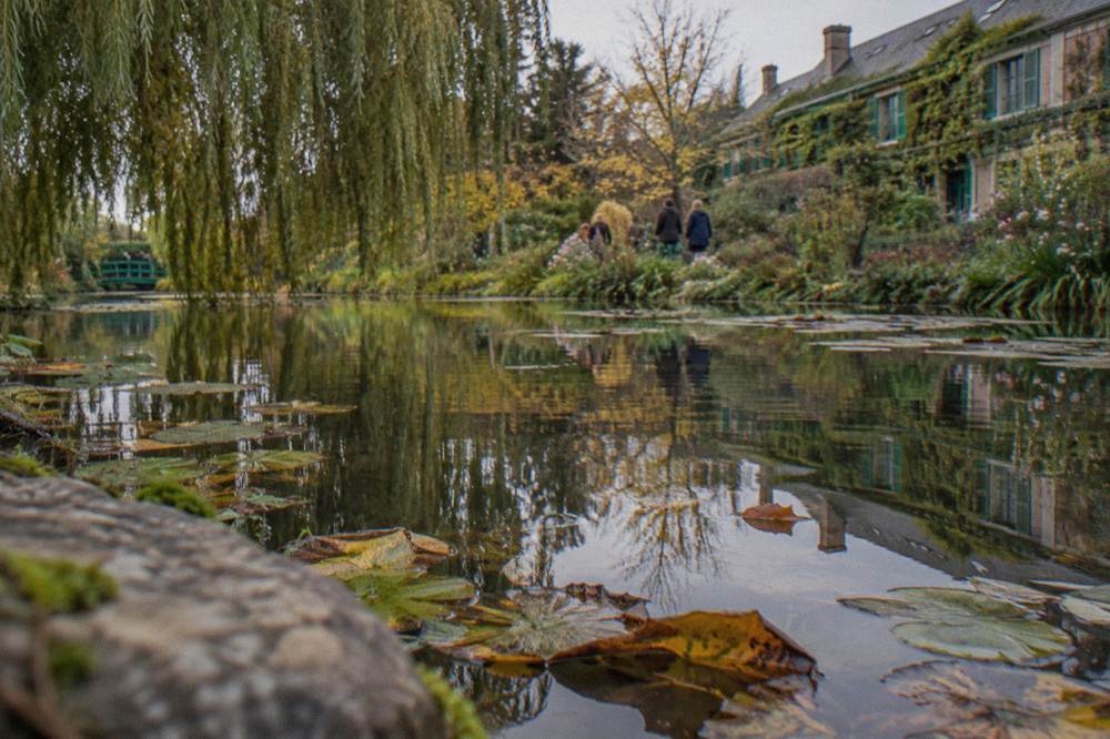 The pond at Giverny with water lilies and reflections of willow trees in late afternoon light