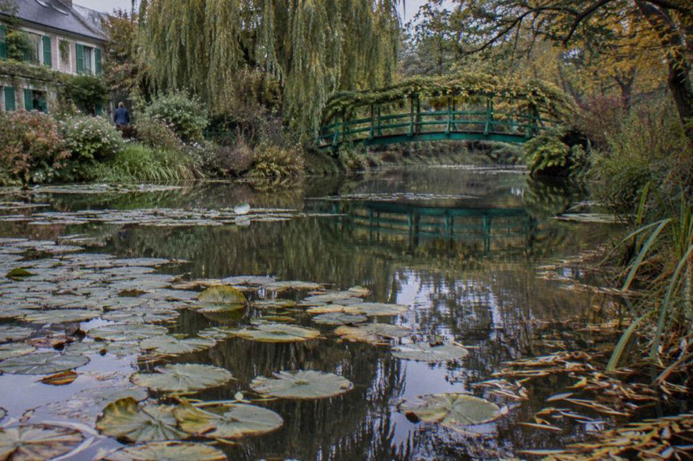 The green Japanese bridge reflected in the pond water between clusters of water lily pads