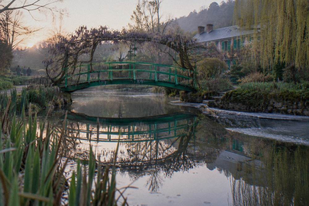 Green arched Japanese bridge reflected in the pond beneath hanging wisteria