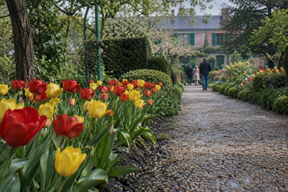 Rows of tulips and spring flowers along the central gravel path of the Clos Normand garden