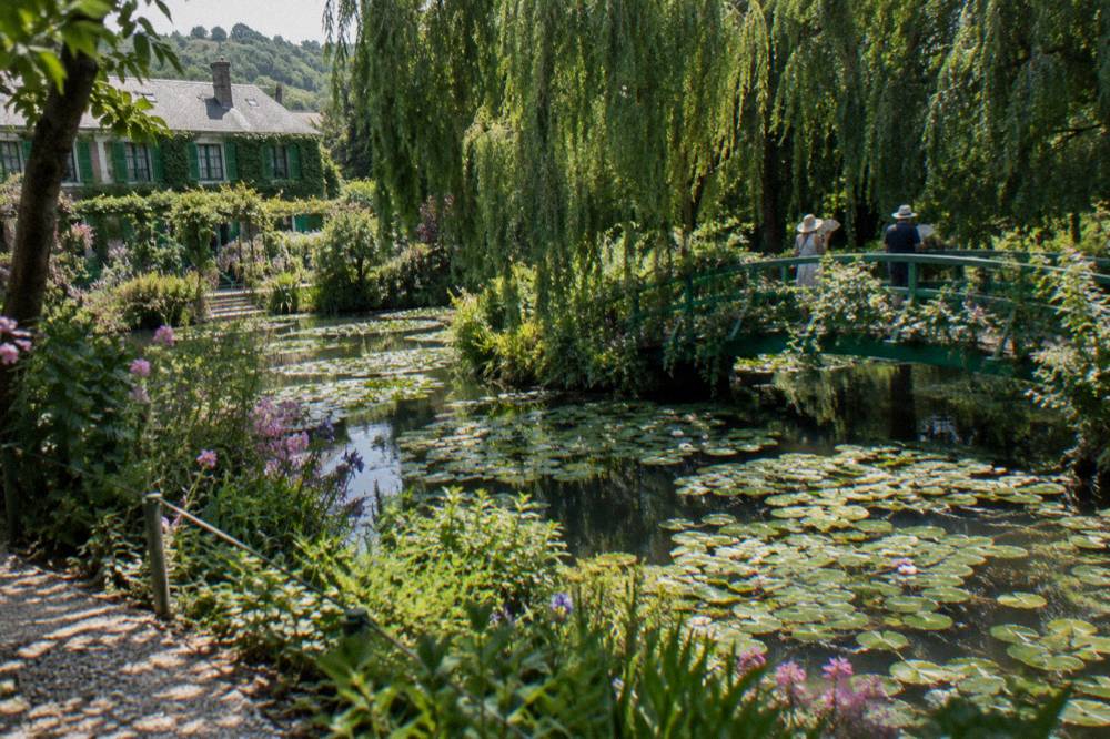 Water lily pond with the green Japanese bridge and weeping willows in Monet's water garden
