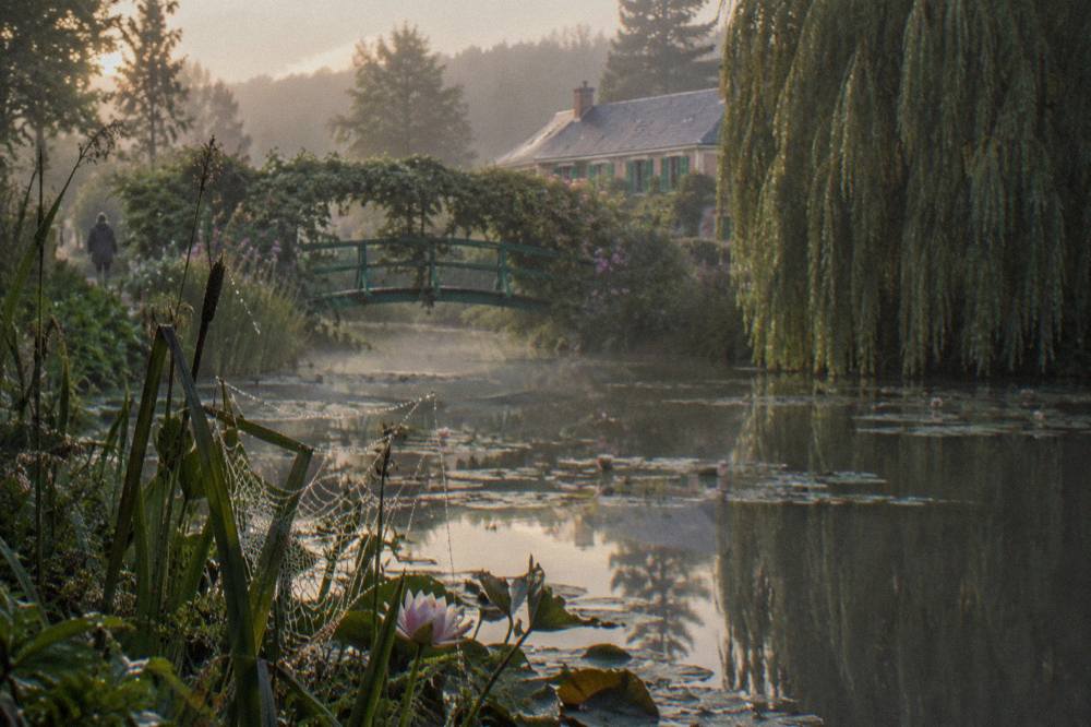The green Japanese bridge arching over the water lily pond at Giverny in soft morning light