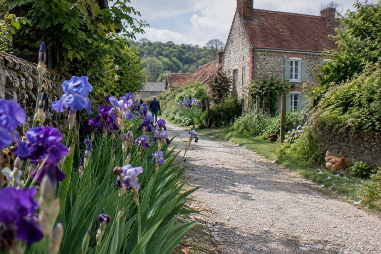 A flowering garden path with tall irises leading toward a farmhouse in a French village