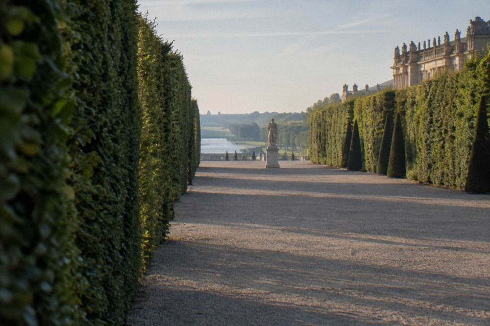 Empty gravel path between tall clipped hedges in formal French gardens