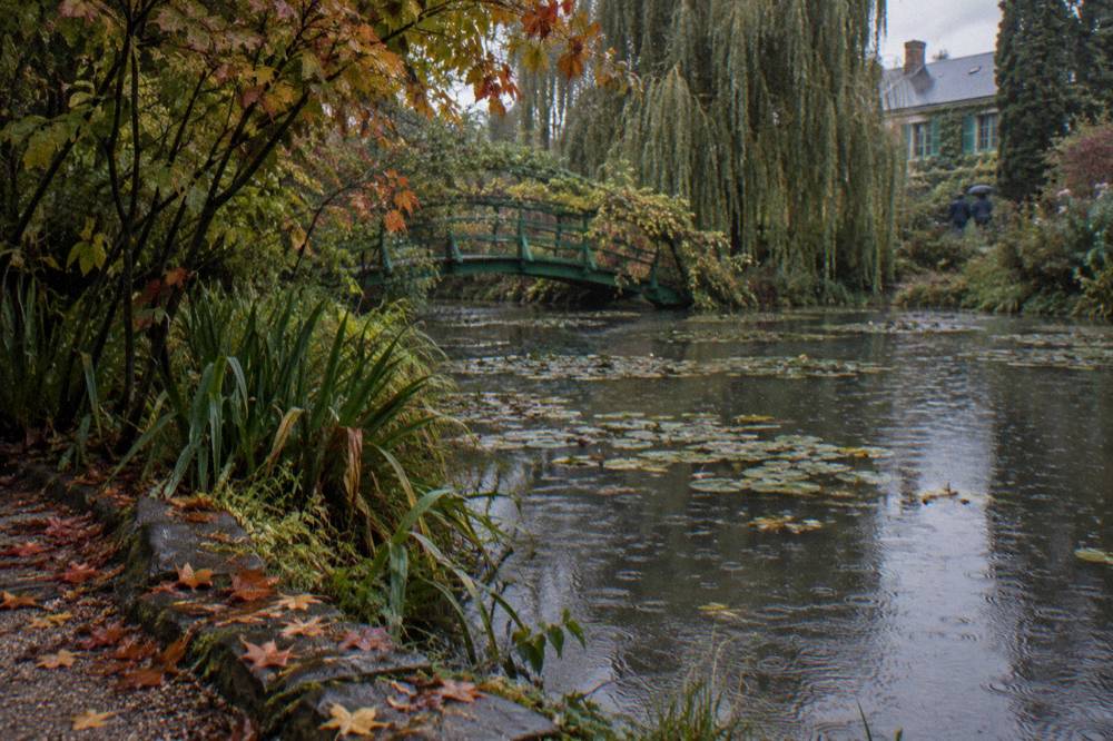 Japanese bridge over the water lily pond seen from a quiet corner of the garden