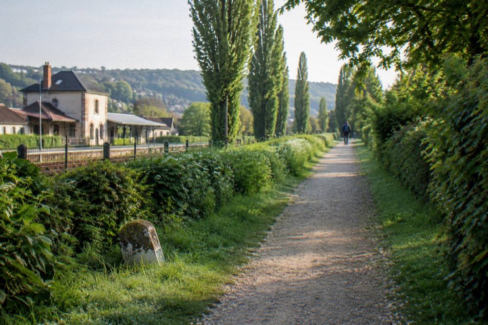 Bicycle lane and hedgerows on the green way between Vernon and Giverny