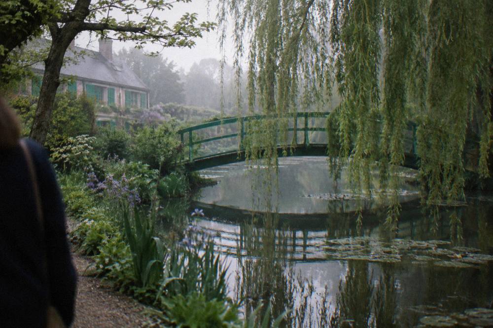 The Japanese bridge over the water lily pond in soft morning light