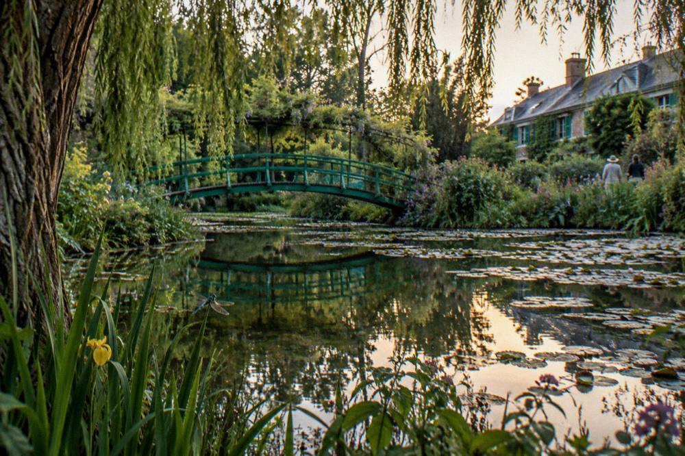 The Japanese bridge over the water lily pond with willows reflected in still water