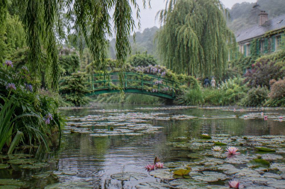 The green Japanese bridge arched over the water lily pond with willow branches at Giverny