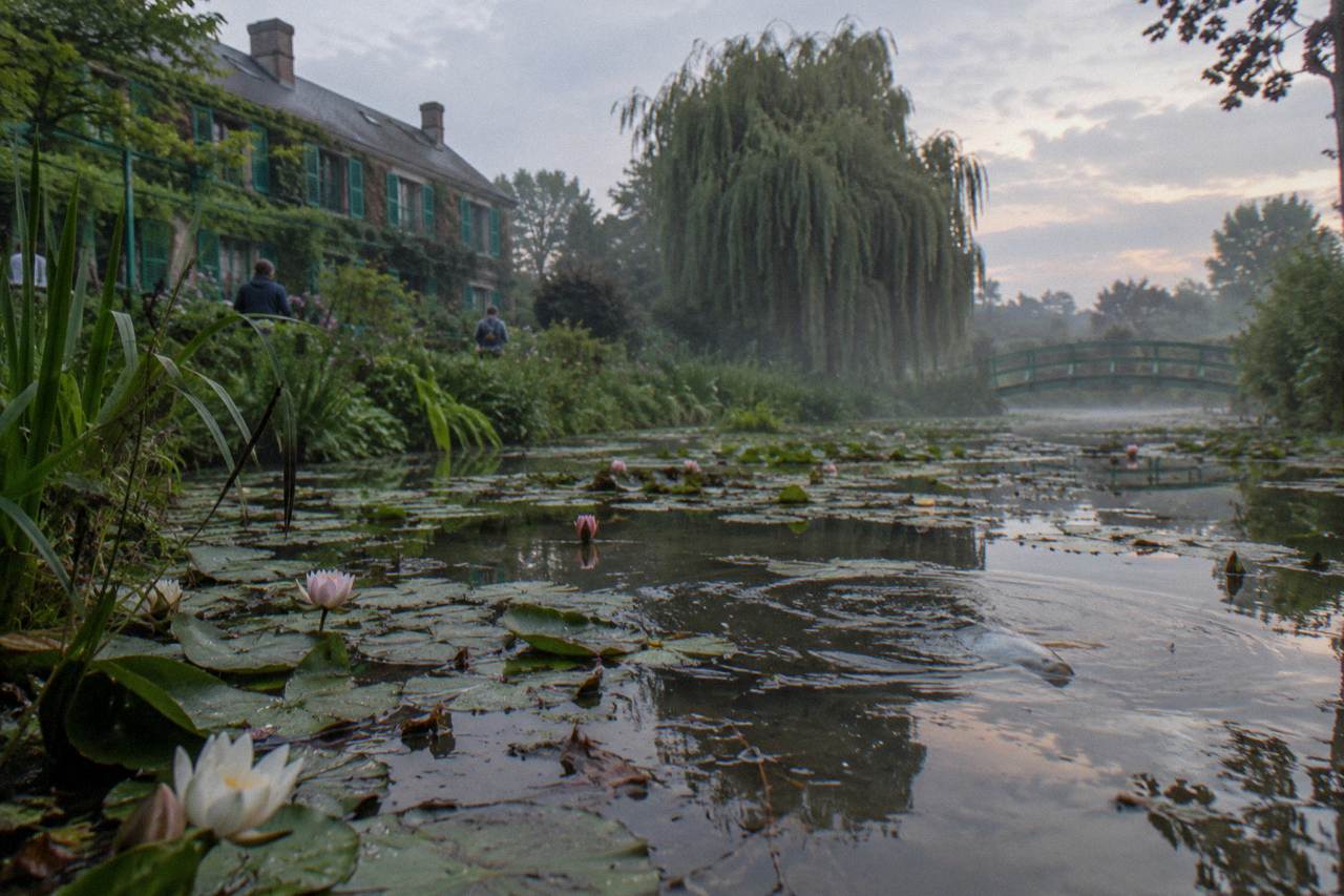 Water lilies and reflections on the pond at Monet's garden in Giverny