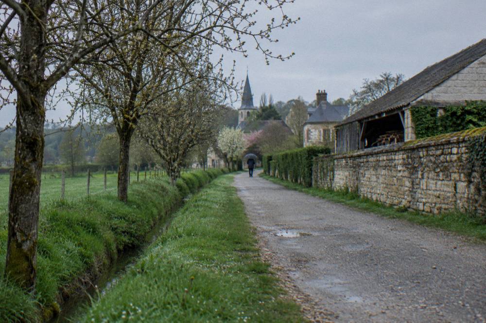 A bicycle lane path winding through trees between a river town and a village
