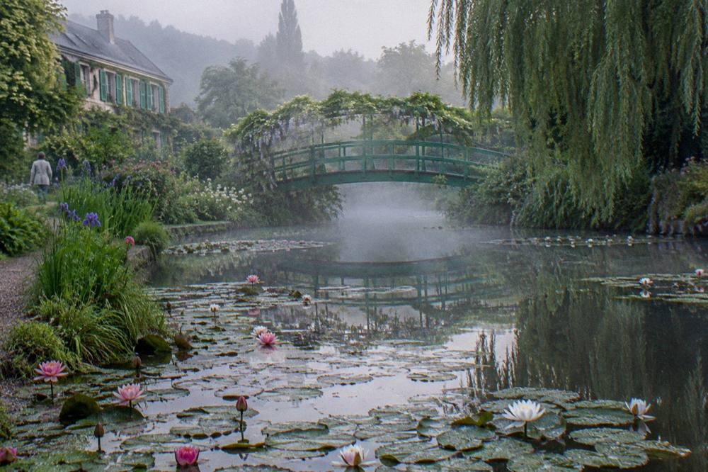 Water lilies and reflections on the pond beside the Japanese bridge in Monet's garden at Giverny
